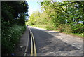 Station Approach, Ockley