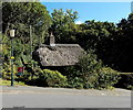 Thatched roof in Lynton