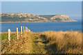 SY9377 : Coast path looking towards St. Aldhelm's Head, Isle of Purbeck, Dorset by Edmund Shaw