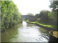 SP8514 : Grand Union Canal: Aylesbury Arm: Bridge No 12 by Nigel Cox