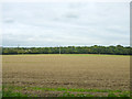 Field near Westfield Cottage