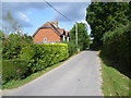 Lane near Scollops Farm