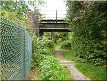 TQ2557 : Bridleway under the railway by Dr Neil Clifton