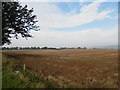 Farmland at Mains of Ravensby