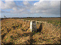 Trig point at Poppleton