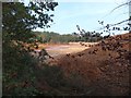 Flooded quarry with sand settling