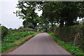 Mid Devon : Country Lane