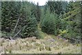 NM9310 : Forestry track near Lochan Lus Dubha by Patrick Mackie