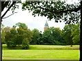 Tower above trees