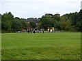 Playground and Woodland Woods