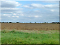 Ploughed field south of  Henham