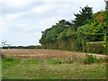 Field by Tendrings Farm