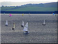 Sailing on Derwent Reservoir