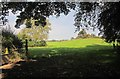 Field containing pillow mounds, Little Sodbury