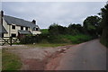 SS9102 : Mid Devon : Country Lane by Lewis Clarke