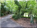 Ham Lane path and cyclepath