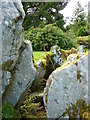 NR9897 : Chambered cairn, Crarae Gardens by sylvia duckworth