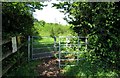 Kissing gate in Piddington Wood