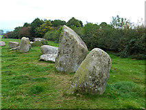 NY5737 : Some of Long Meg's daughters by Oliver Dixon