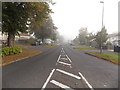 SU6451 : Into the mist along Grove Road, Basingstoke by Jaggery
