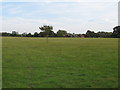 Grassland near Pond House, Boxted