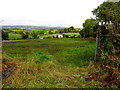 Cavankilgreen Townland