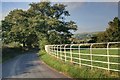 Iron Fence at Greenlane