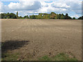 Field north of Binfield