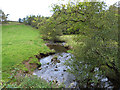 NY6135 : Sunnygill Beck by Oliver Dixon