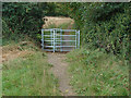 New kissing gate near Binfield