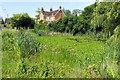 Overgrown pond in Marsh Gibbon