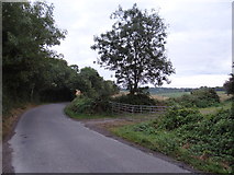 X0779 : Gate and tree beside the road by Ian Paterson