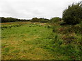 Glenknock or Cloghogle Townland