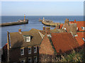 Houses near to Whitby Harbour