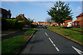 Houses on Ainsty View, Whixley