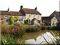 Village pond and White Swan