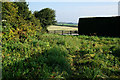 Public footpath at to Mill House