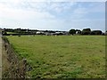 Field and farm near Tregadillett