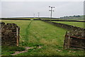 Fields above Holmbridge