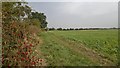 Path towards Scothern from Nettleham