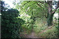 Footpath off the Thames Path