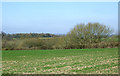 Farmland by The Bog, north of Worfield, Shropshire