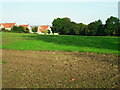 Arable land, Haddenham