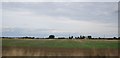 TL1945 : Flat landscape north of Biggleswade by N Chadwick