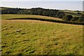 Farmland above Dyffryn Aled