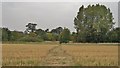 Path through harvested wheat field near Dunholme