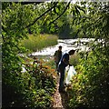 Volunteers litter-picking in Forbes Hole