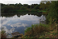 Pond, south of Pennington Flash