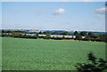 Polytunnels, Kings Lane