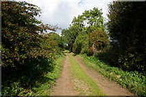 SE4664 : Rice Lane towards Myton-on-Swale by Ian S